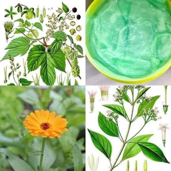 Silky Techno Basic Herb Balm Trewatment (250ML -Jar Will be small accordingly)